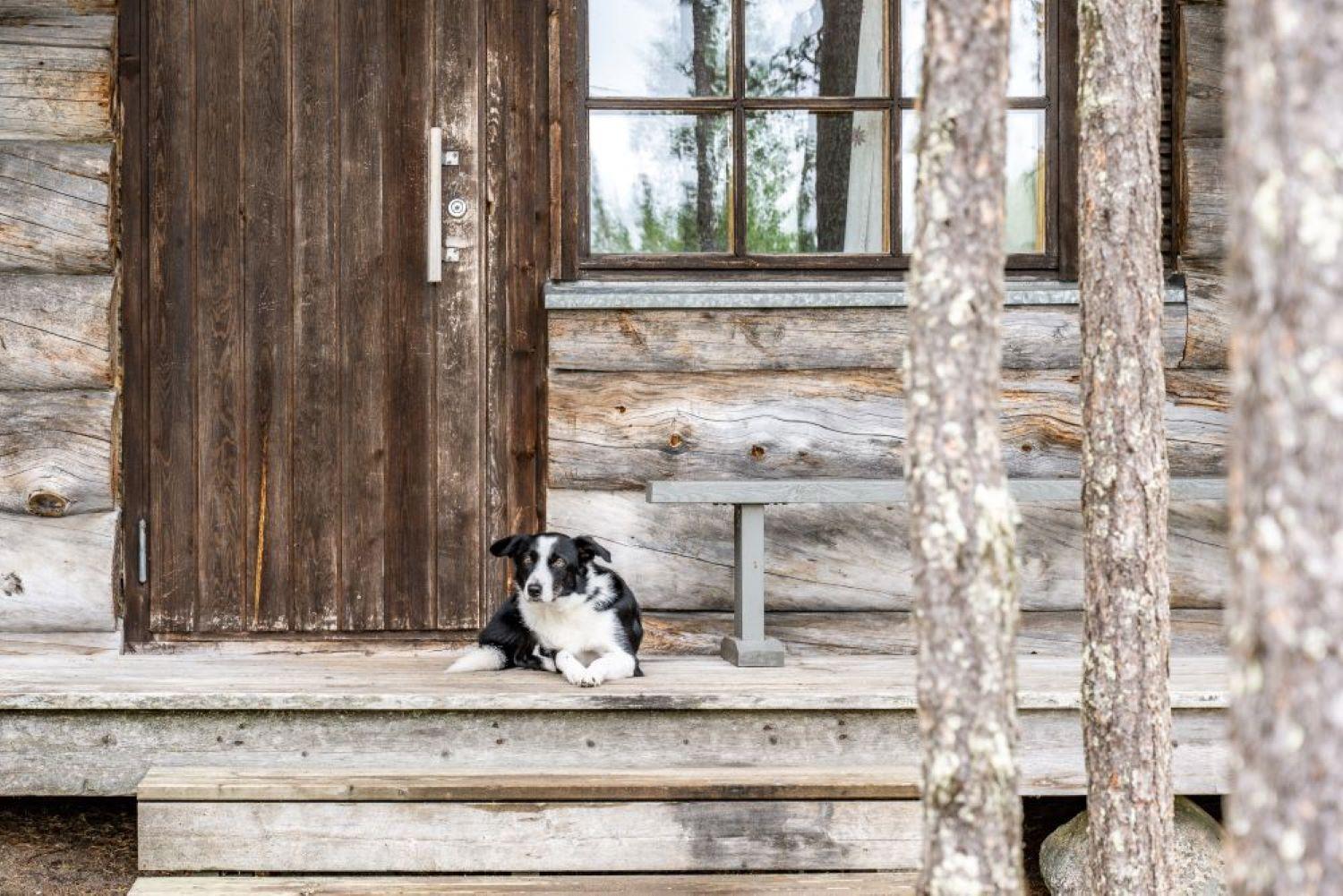 Holiday Village Himmerki Посио Экстерьер фото